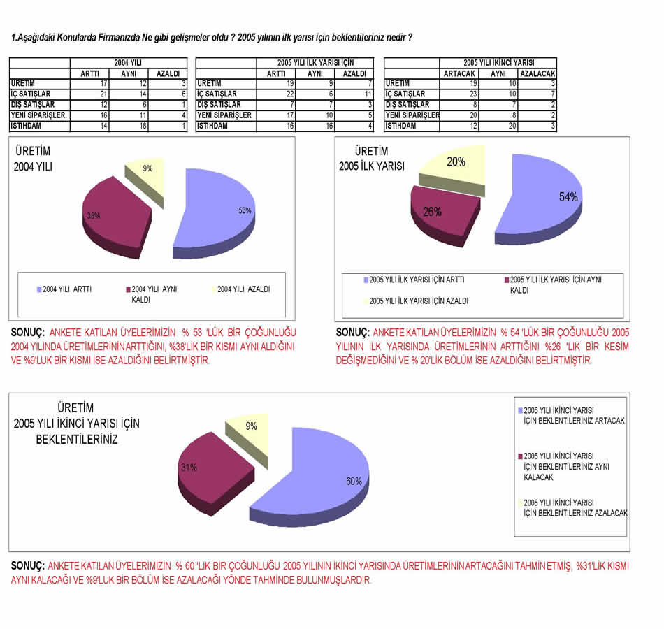 2005 Sanayici Anketi