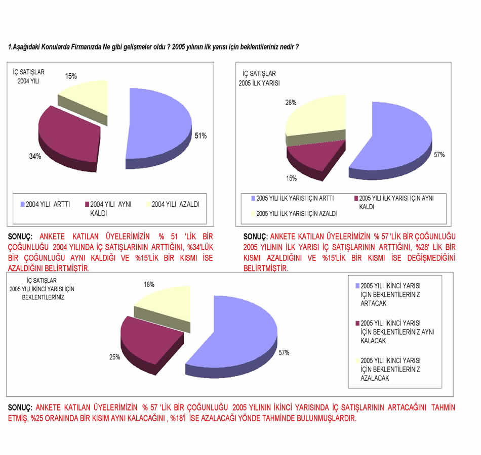 2005 Sanayici Anketi