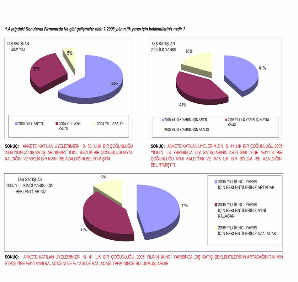 2005 Sanayici Anketi