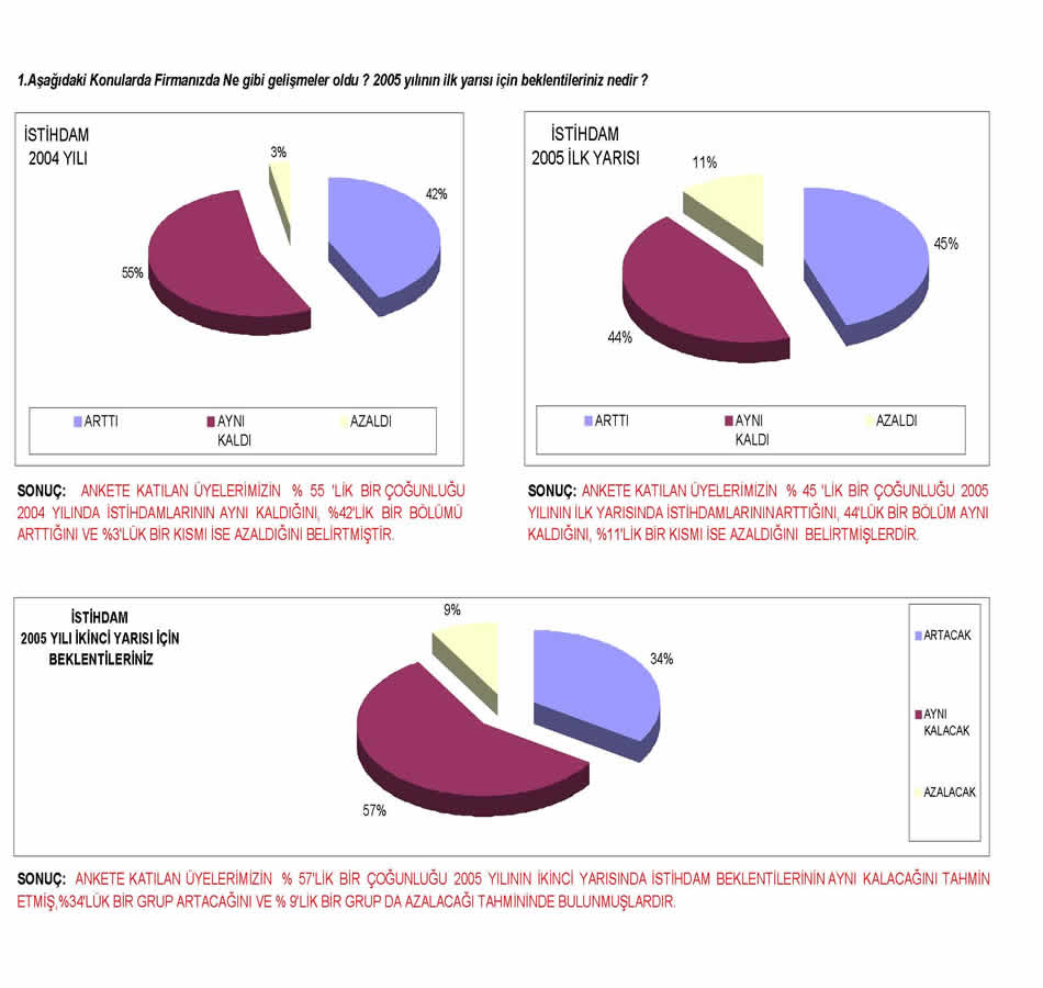 2005 Sanayici Anketi
