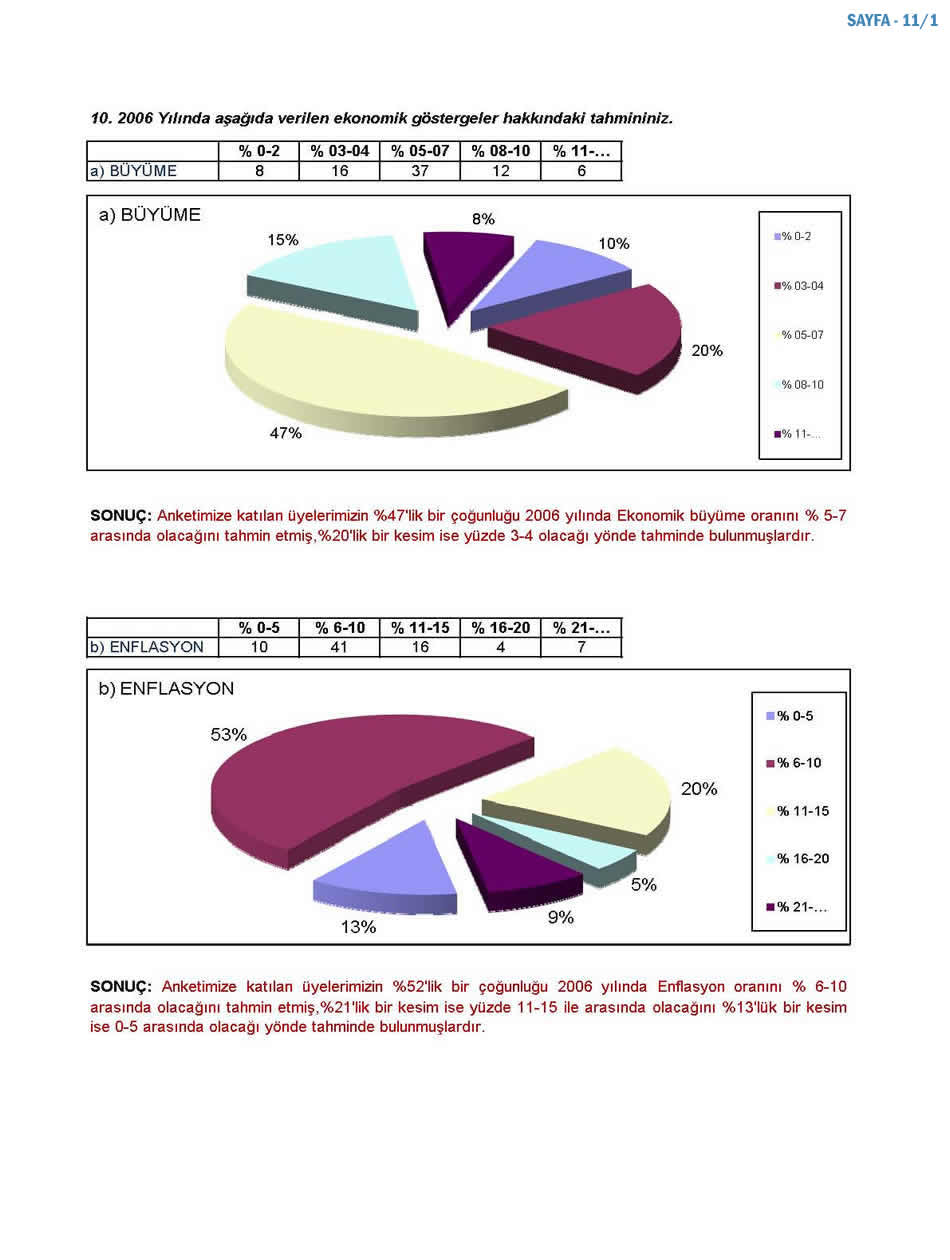 2006 Sanayici Anketi