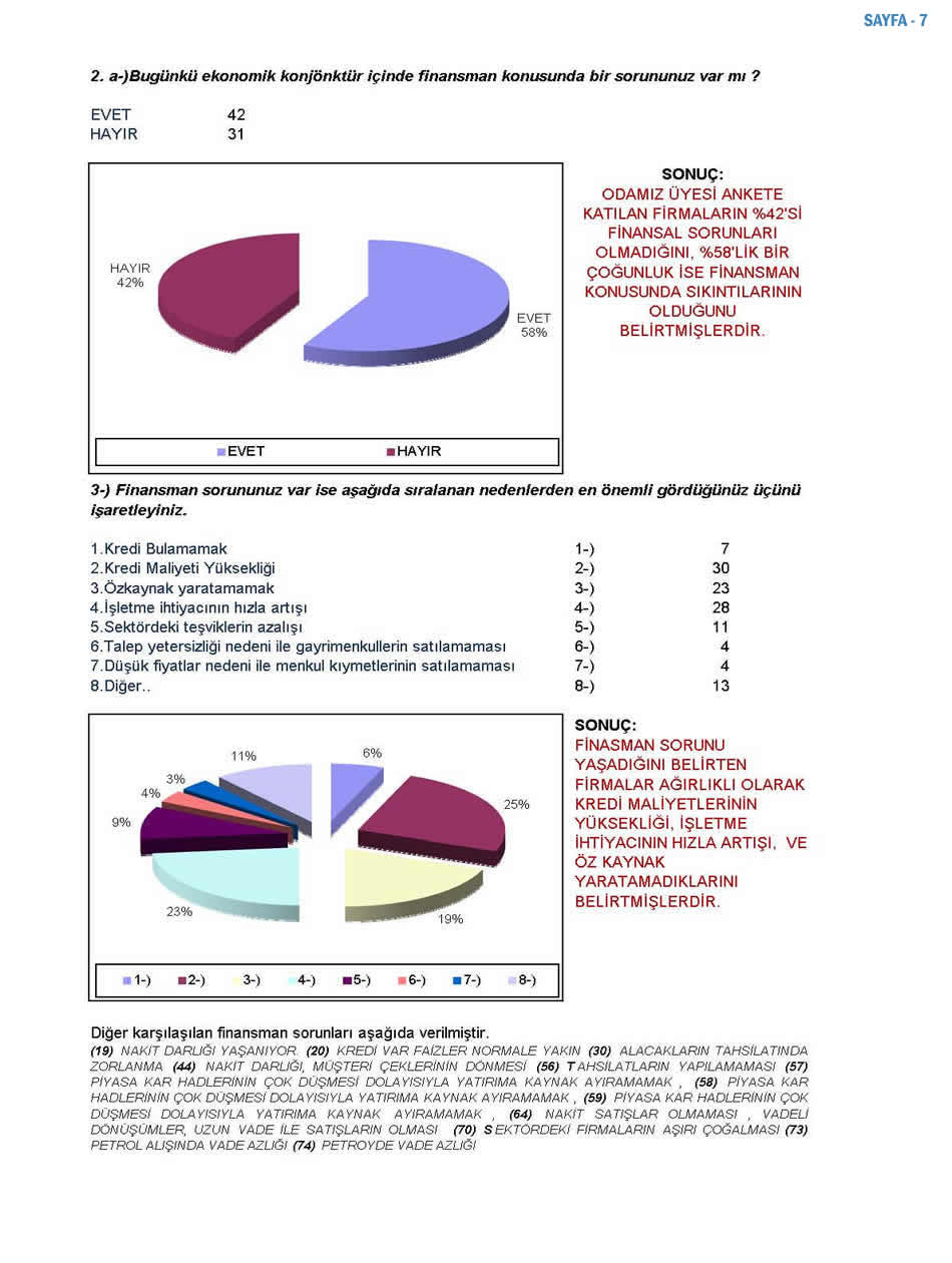 2007 Sanayici Anketi