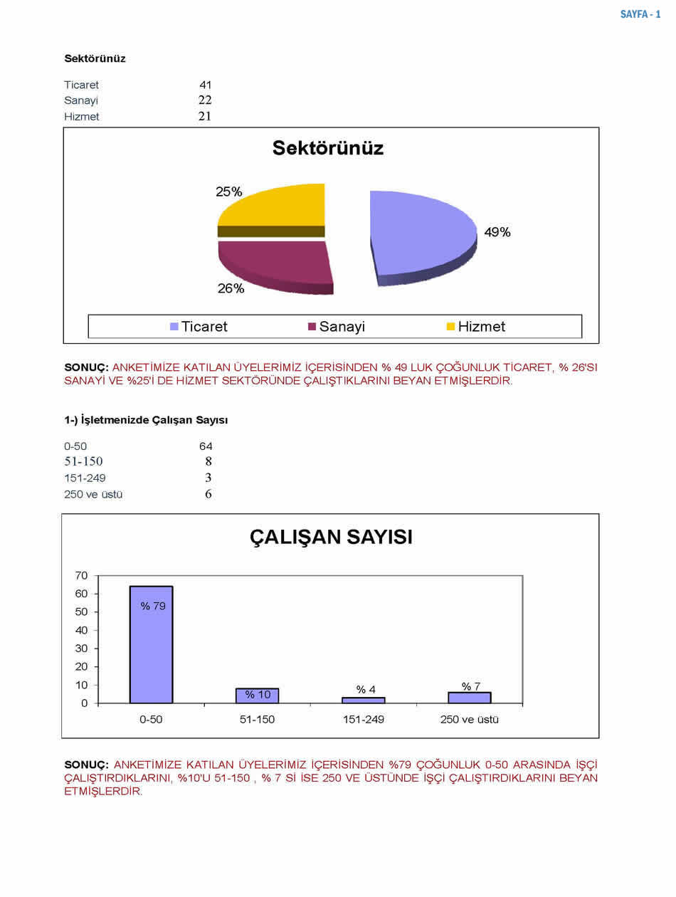 2009 Sanayici Anketi