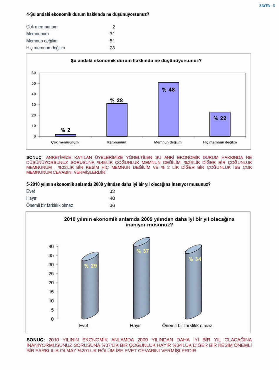 2010 Ekonomi Anketi