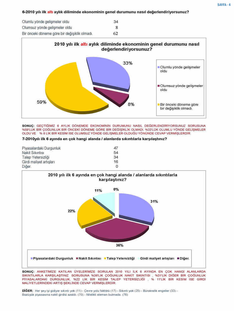 2010 Ekonomi Anketi