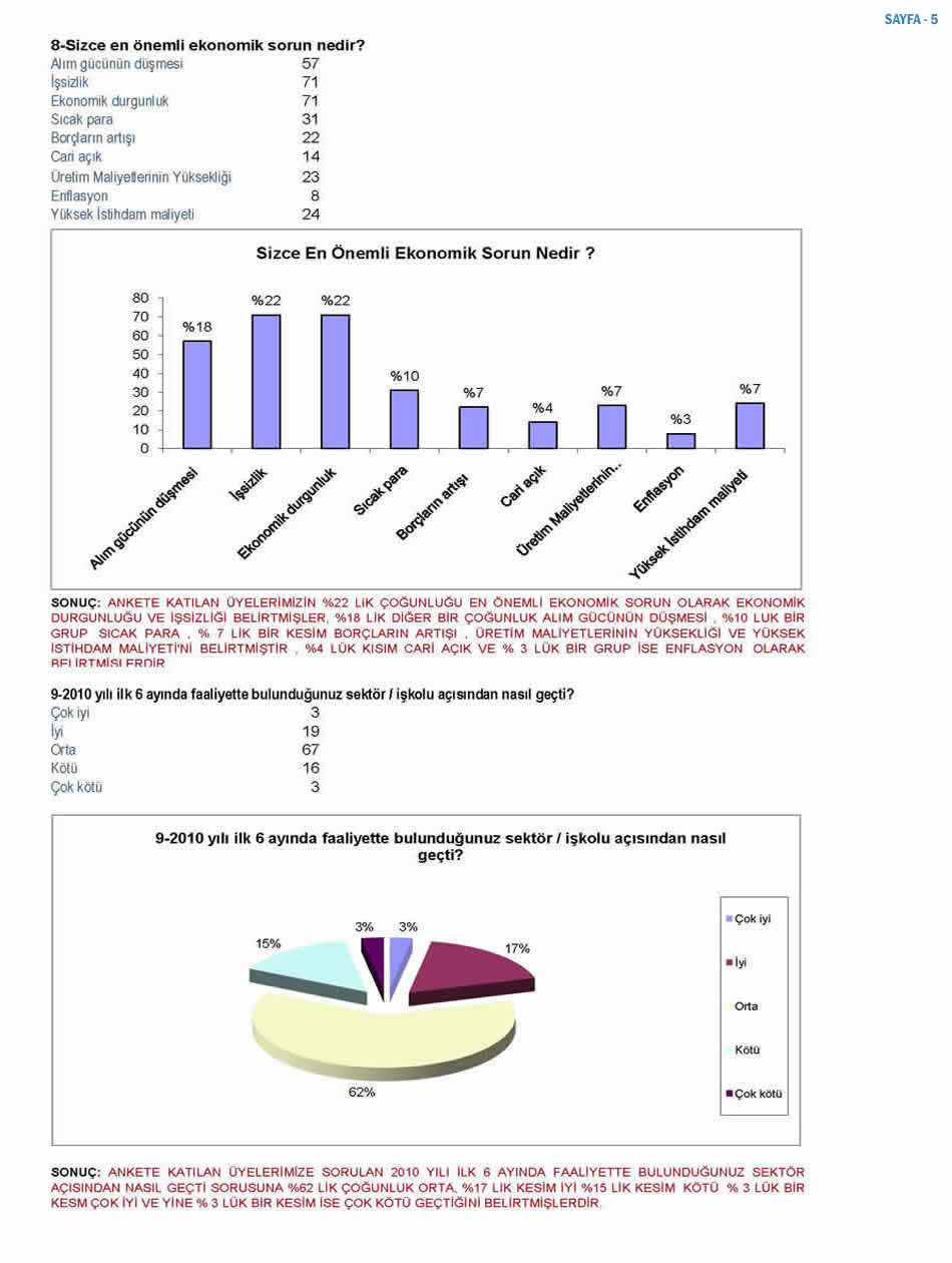 2010 Ekonomi Anketi