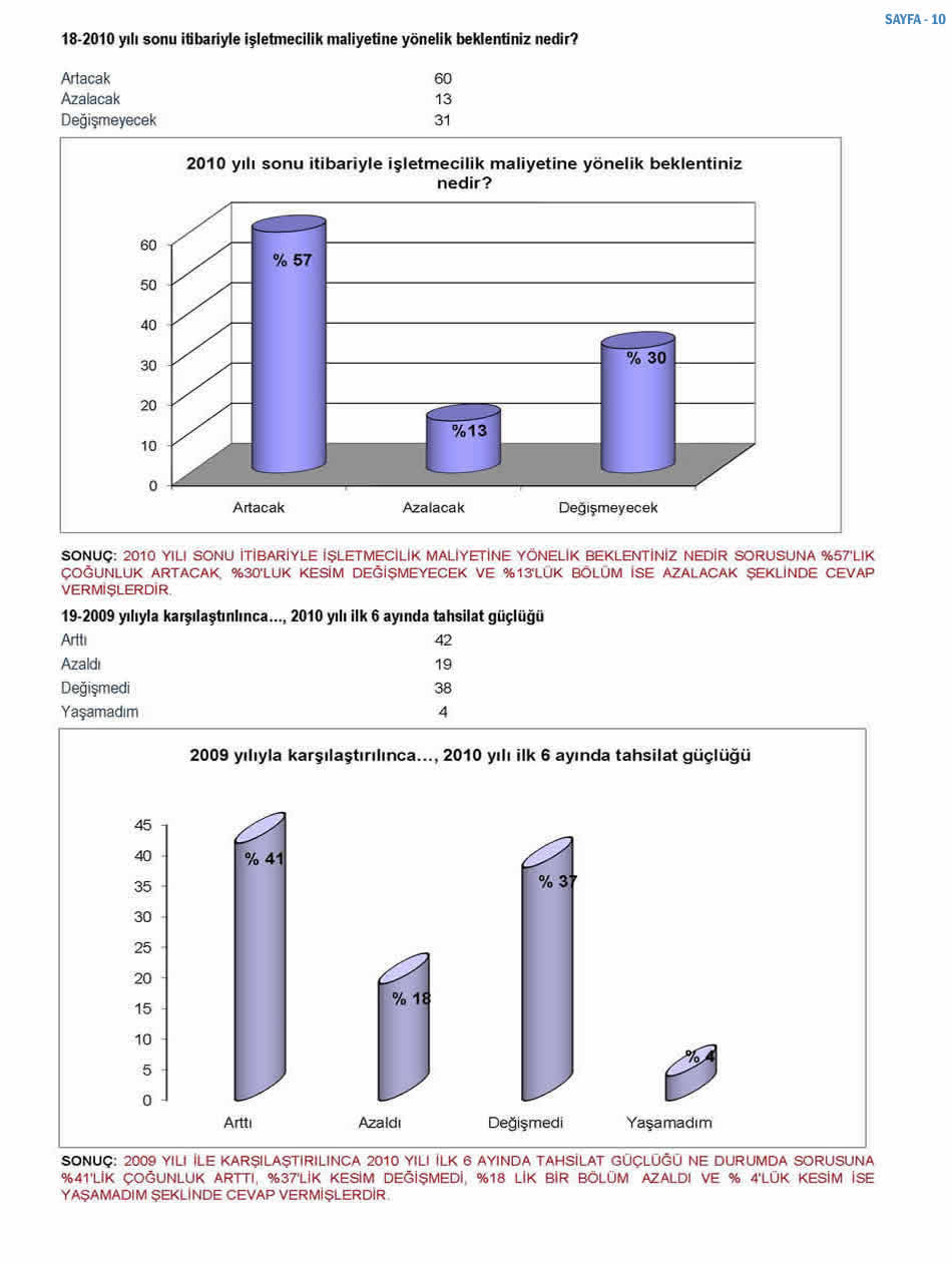 2010 Ekonomi Anketi