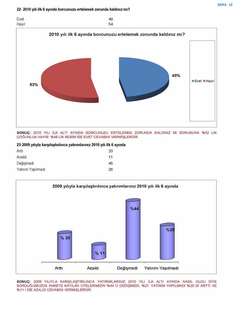 2010 Ekonomi Anketi