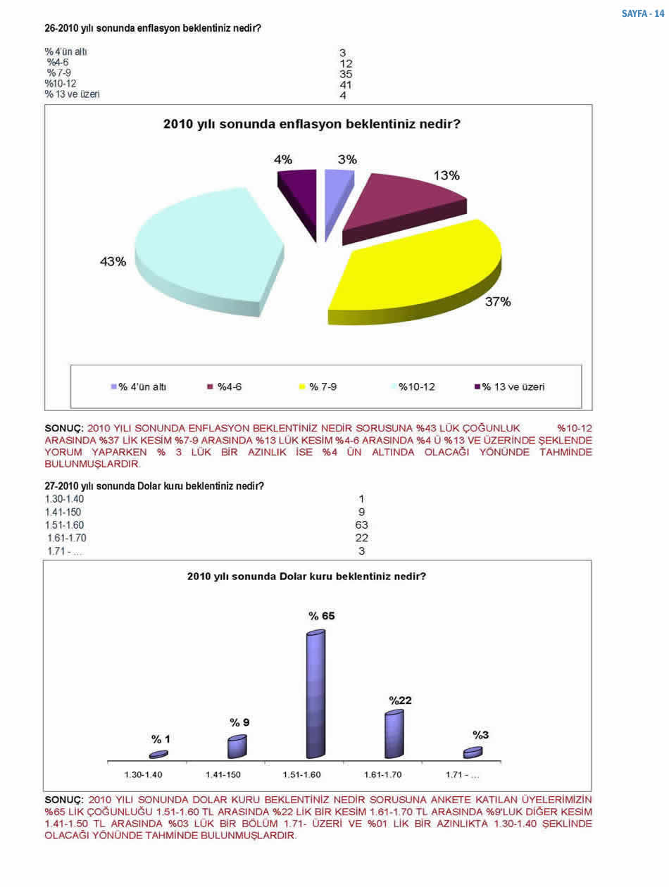 2010 Ekonomi Anketi