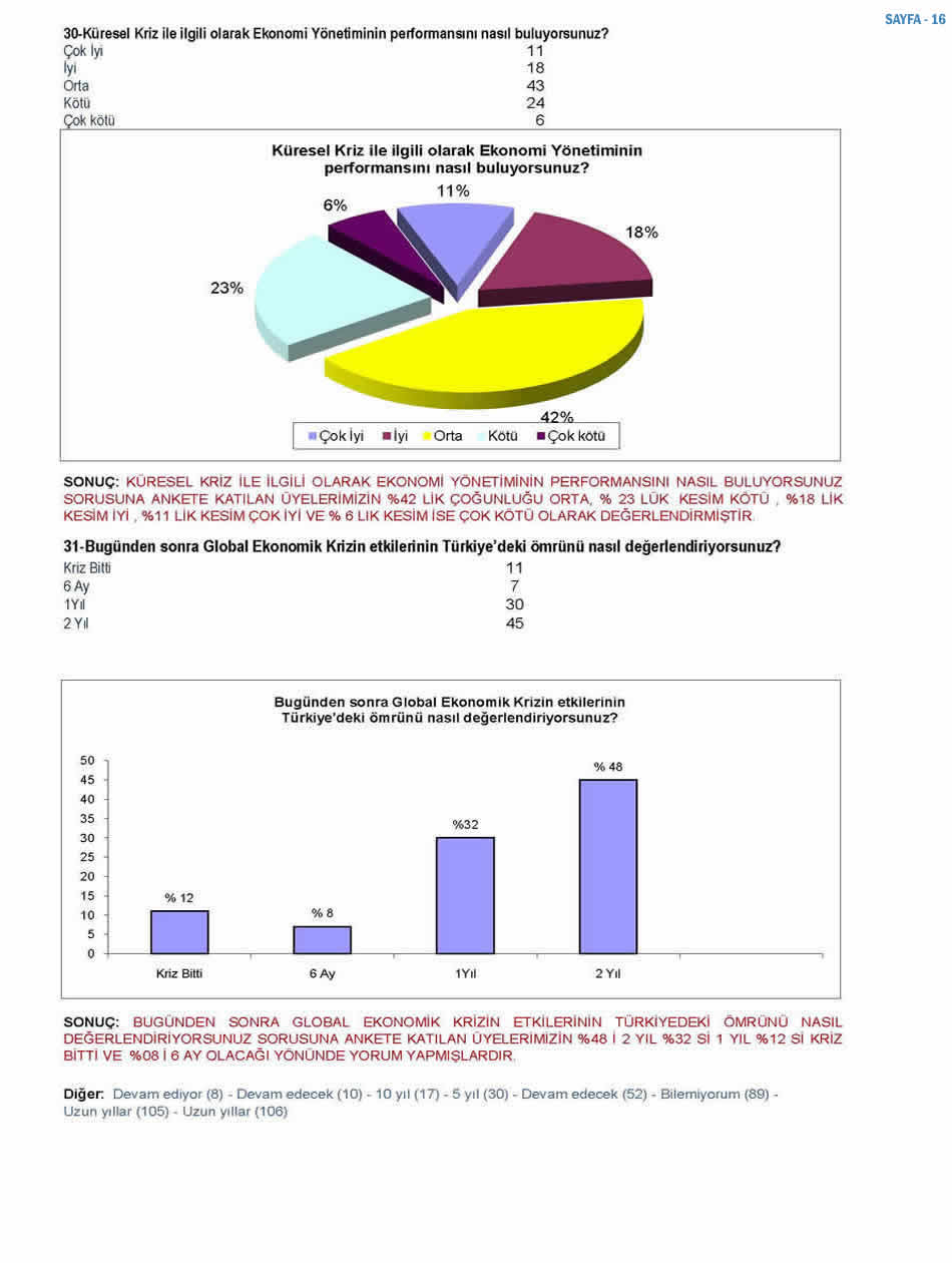 2010 Ekonomi Anketi
