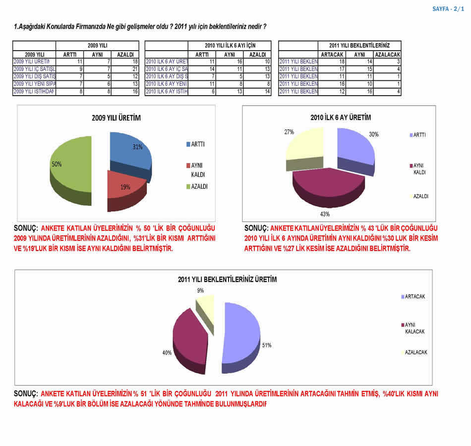 2010 Sanayici Anketi