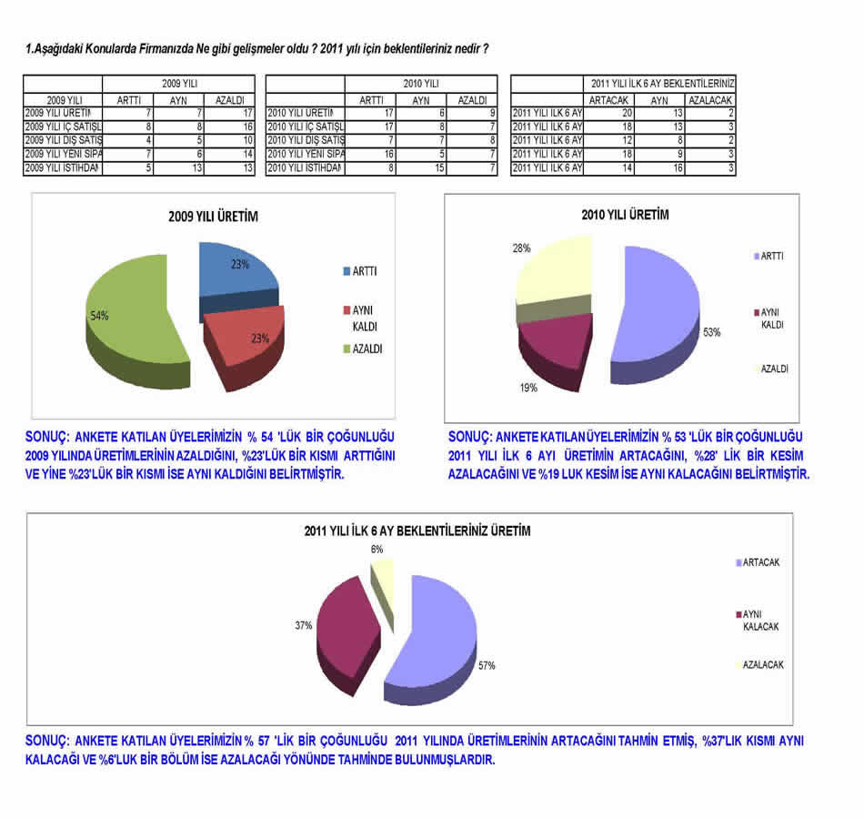 2011 Sanayici Anketi