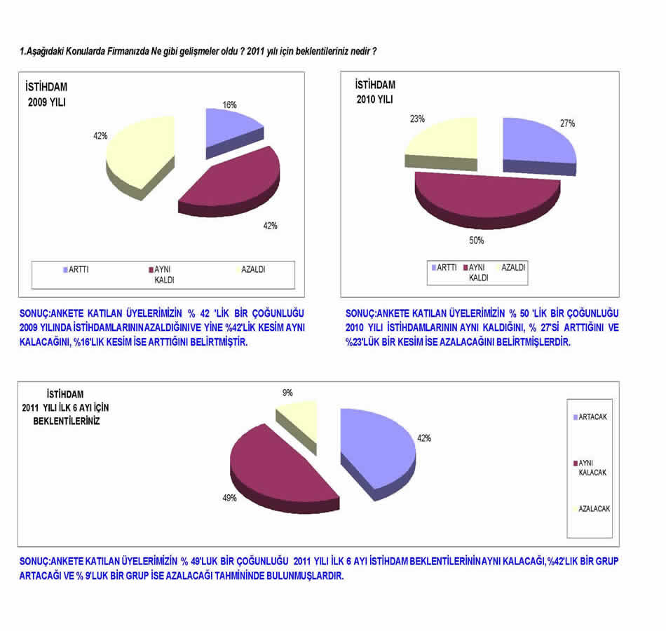 2011 Sanayici Anketi